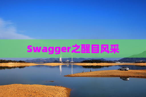 Swagger之醒目风采